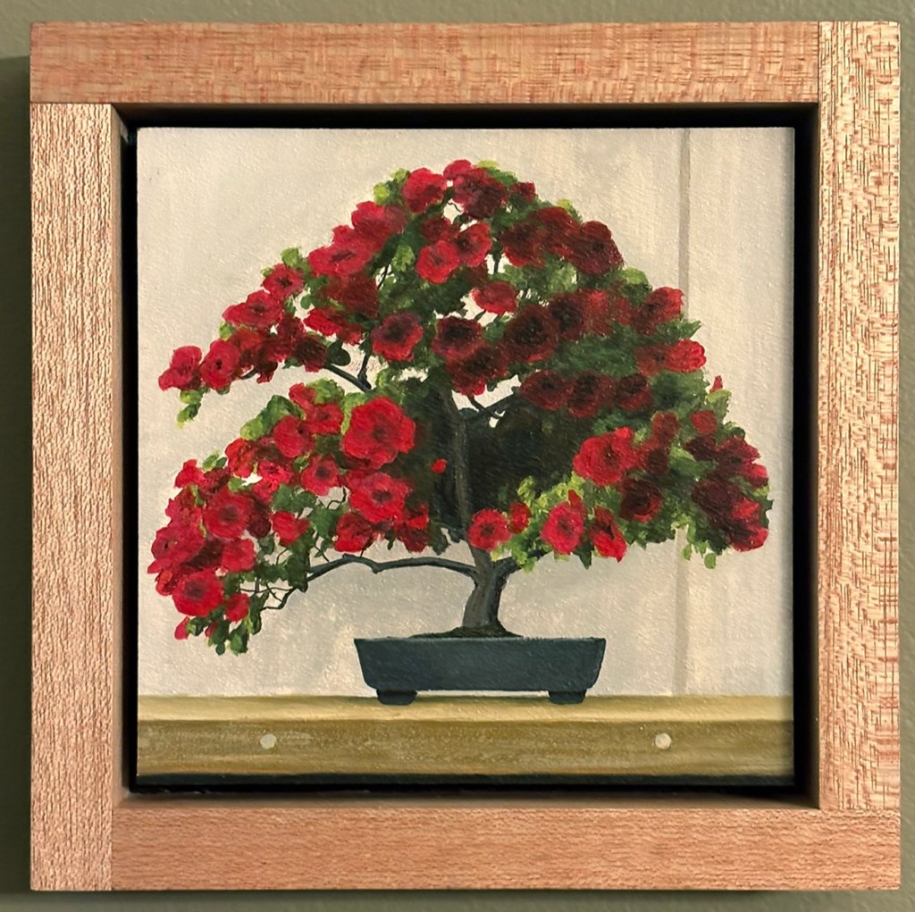 Bonsai, Como Zoo